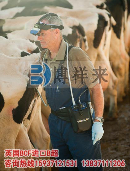 牛用B超在預防檢查奶牛繁殖疾病的作用